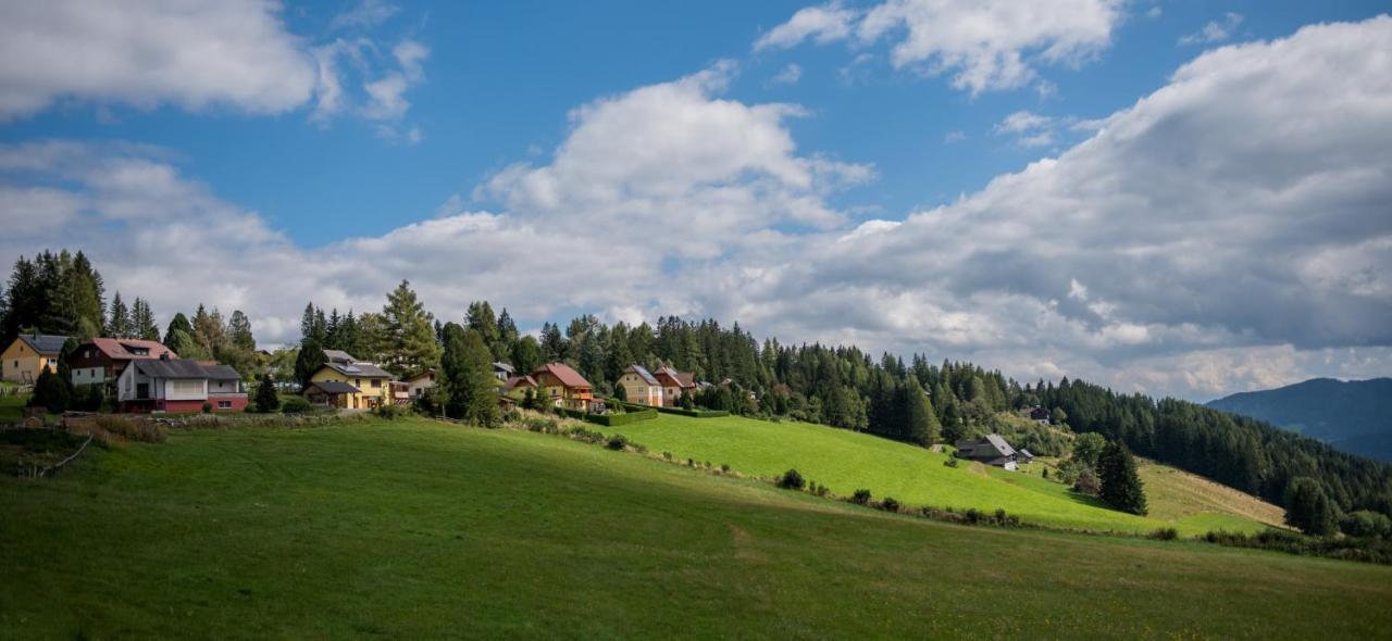 Ferienhaus Seetaler Alpen Obdach Luaran gambar