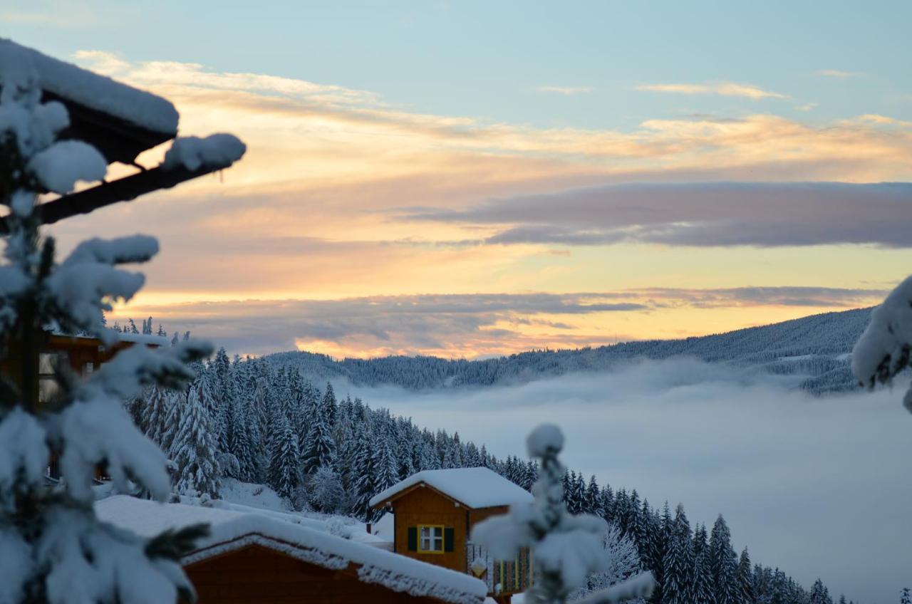 Ferienhaus Seetaler Alpen Obdach Luaran gambar