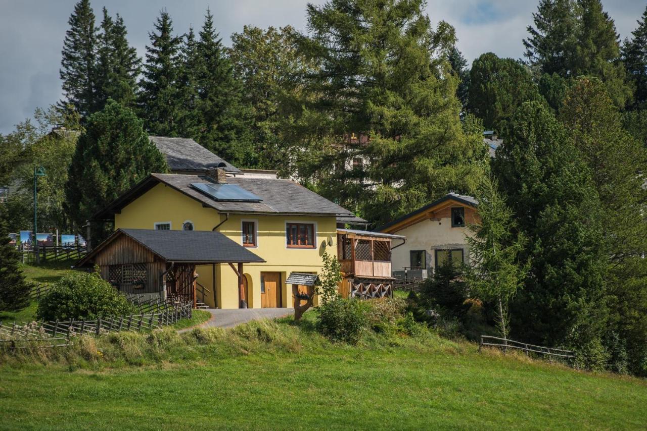 Ferienhaus Seetaler Alpen Obdach Luaran gambar